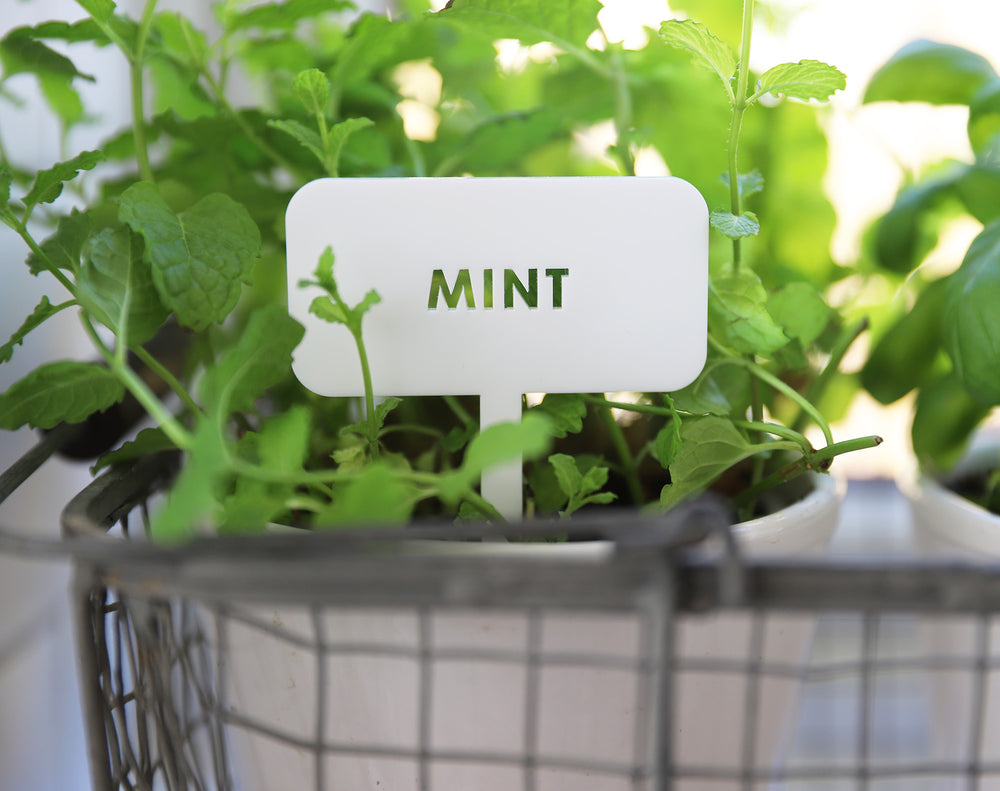 
                  
                    Personalised Plant Markers - White Acrylic
                  
                