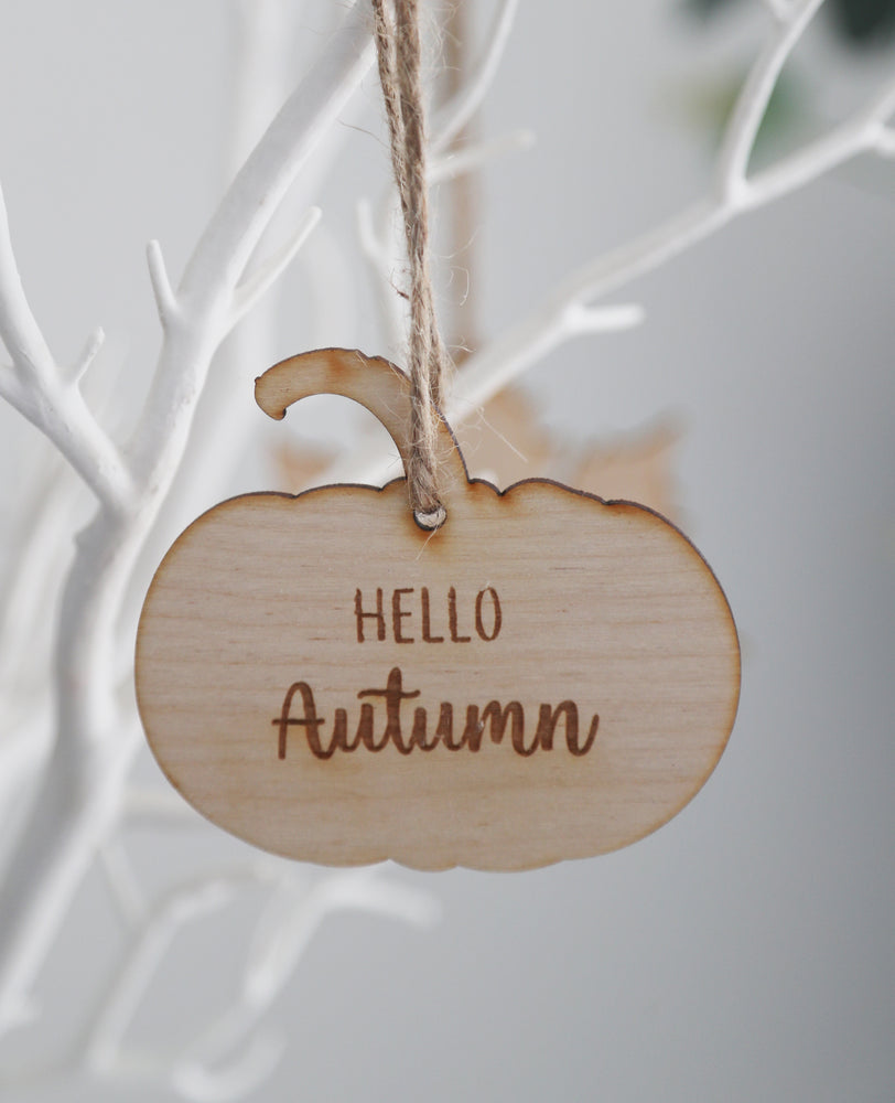 
                  
                    Hello Autumn Hanging Pumpkin
                  
                