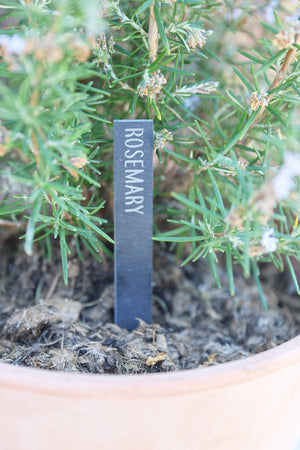 
                  
                    Slate Plant Marker
                  
                