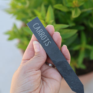 
                  
                    Slate Plant Marker
                  
                