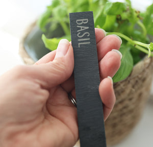 
                  
                    Slate Plant Marker
                  
                