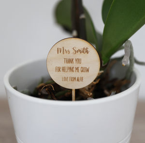 
                  
                    Personalised Teacher Plant Stick
                  
                