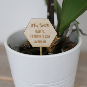 
                  
                    Personalised Teacher Plant Stick
                  
                