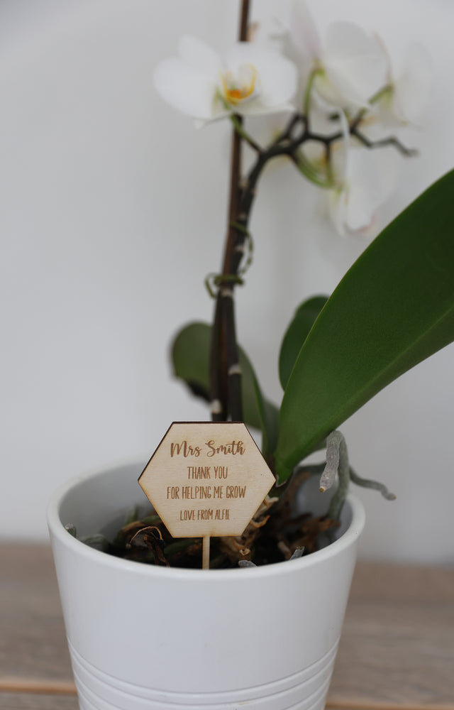 
                  
                    Personalised Teacher Plant Stick
                  
                