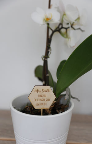 
                  
                    Personalised Teacher Plant Stick
                  
                