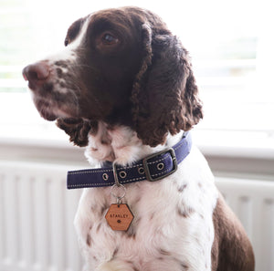 
                  
                    Personalised Hexagonal Dog Tag - Wooden
                  
                
